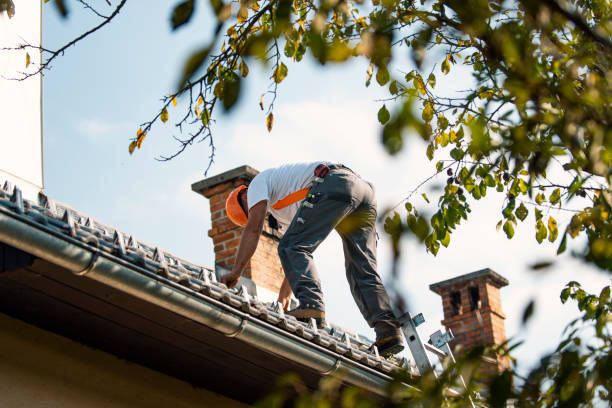 Best Emergency Roof Repair  in Bethany, IL