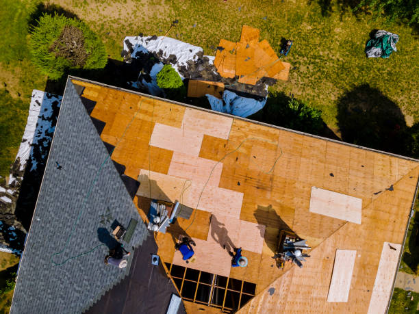 Best Roof Maintenance Services  in Bethany, IL