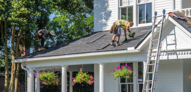 Best Roof Gutter Cleaning  in Bethany, IL